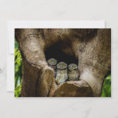 Forests | Three Owls Looking サンキューカード (正面)