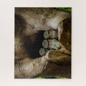 Forests | Three Owls Looking ジグソーパズル (縦)