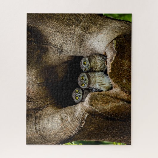 Forests | Three Owls Looking ジグソーパズル (縦)
