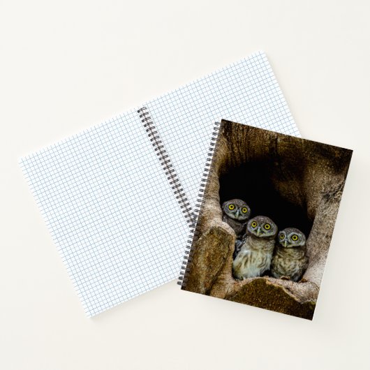 Forests | Three Owls Looking ノートブック (内部)