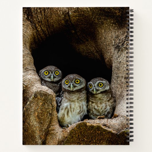 Forests | Three Owls Looking ノートブック (裏面)