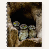 Forests | Three Owls Looking ノートブック (正面)
