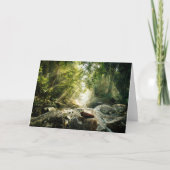 Forests | Tropical Jungle Forest カード (正面)