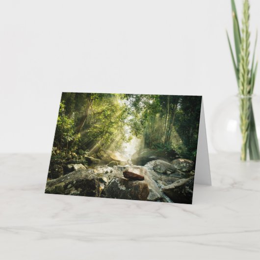 Forests | Tropical Jungle Forest カード (正面)