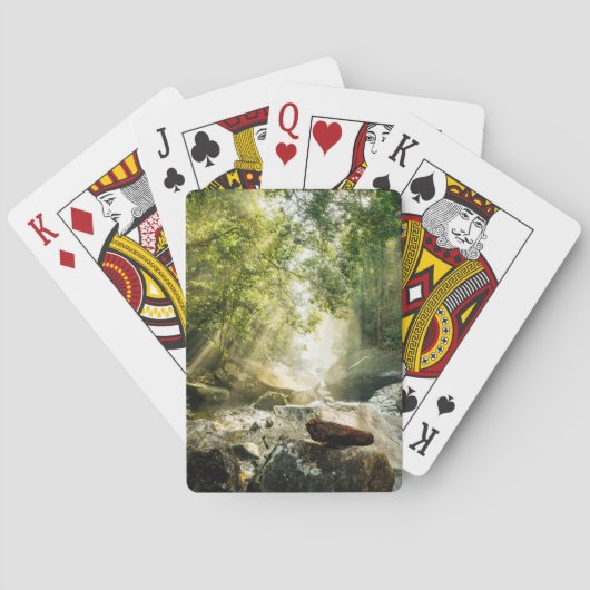 Forests | Tropical Jungle Forest トランプ (裏面)