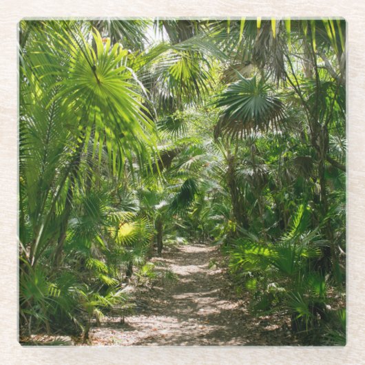 Forests | Tropical Rainforest Tulum Mexico ガラスコースター (正面)