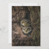 Forests | Two Owls Looking サンキューカード (正面)