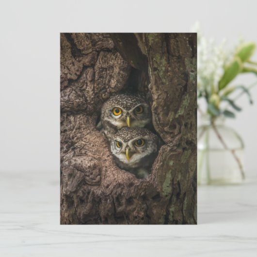 Forests | Two Owls Looking サンキューカード (スタンド正面)