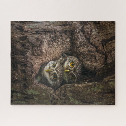 Forests | Two Owls Looking ジグソーパズル (横)