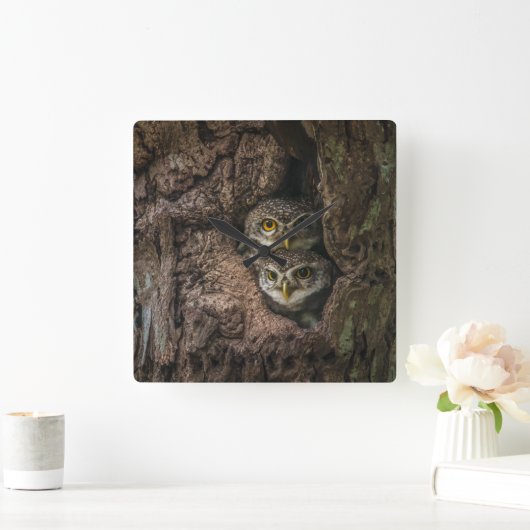Forests | Two Owls Looking スクエア壁時計 (ホーム)