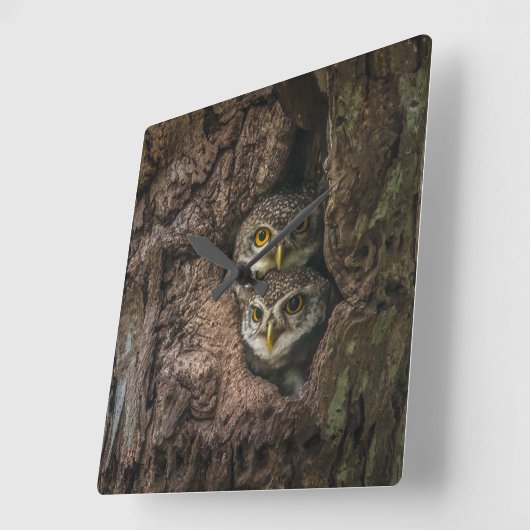 Forests | Two Owls Looking スクエア壁時計 (傾斜)