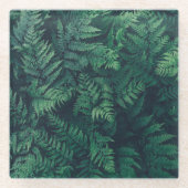 Forests | Woodland Ferns ガラスコースター (正面)