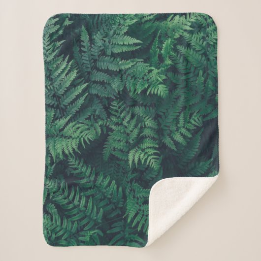 Forests | Woodland Ferns シェルパブランケット (正面)