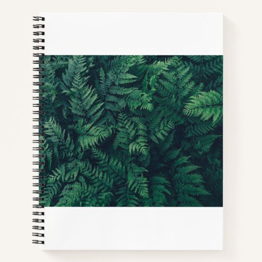 Forests | Woodland Ferns ノートブック (正面)