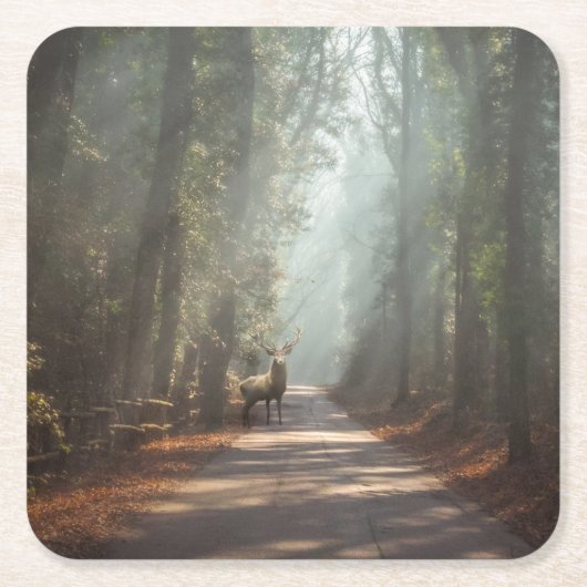 Forests | Woodland Stag スクエアペーパーコースター (正面)