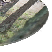 Forests | Woodlands & Red Deer カッティングボード (角)