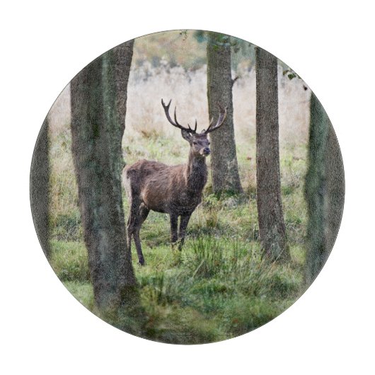 Forests | Woodlands & Red Deer カッティングボード (正面)