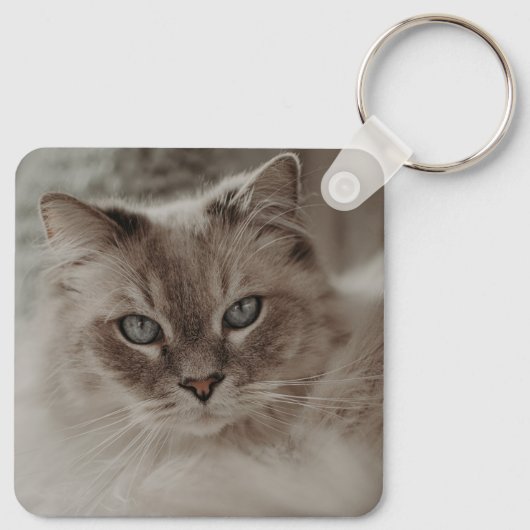 Forever 恋しく思 Cat Pawsの名前と写真 キーホルダー (裏面)