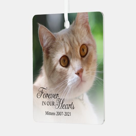 Forever In Ourハート猫写真 メタルオーナメント (正面左)