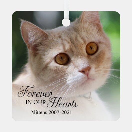 Forever In Ourハート猫写真 メタルオーナメント (裏面)