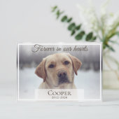 Forever in our hearts Pet memorial photo サンキューカード (スタンド正面)
