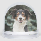 Forever Loved Pet Memorial Paw Print Photo (正面)