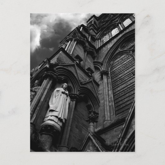 Forever Watchingはがき ポストカード (正面)