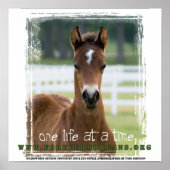 ForeverMorgans: One Life at a Time Poster ポスター (正面)