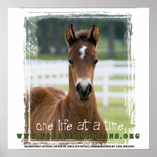 ForeverMorgans: One Life at a Time Poster ポスター (正面)