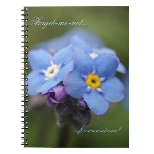 Forget-me-not forever and ever! ノートブック (正面)