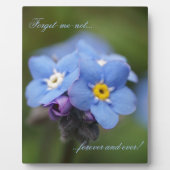 Forget-me-not forever and ever! フォトプラーク (正面)