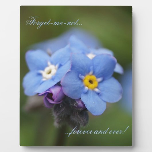 Forget-me-not forever and ever! フォトプラーク (正面)