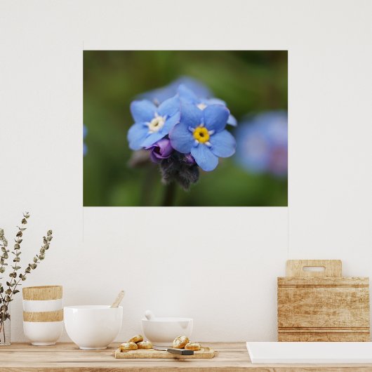 Forget-me-not forever and ever! ポスター (キッチン)