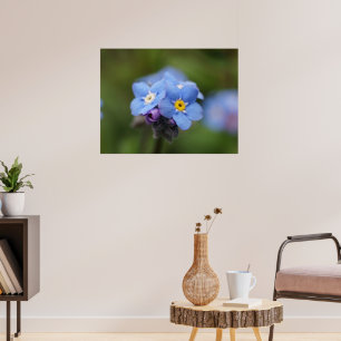 Forget-me-not forever and ever! ポスター