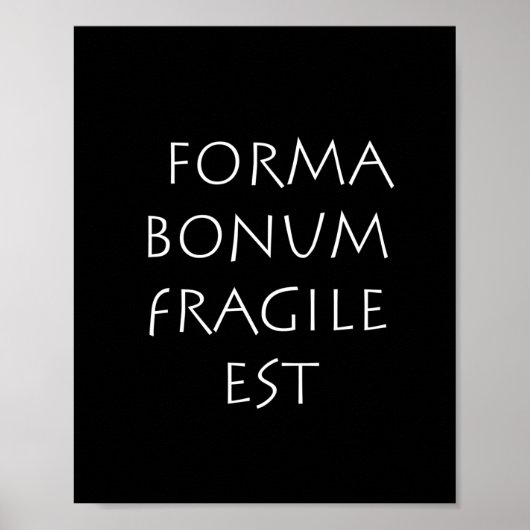 Forma bonum fragile est ポスター (正面)