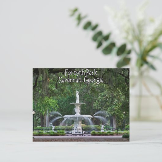 Forsyth Park Fountain, Savannah Georgia ポストカード (スタンド正面)