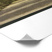 Forsyth Park, Savannah, Georgia circa 1901 ポスター (角)