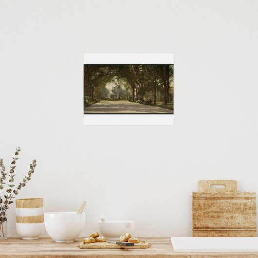 Forsyth Park, Savannah, Georgia circa 1901 ポスター (キッチン)