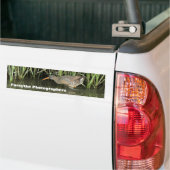 ForsytheのカメラマンのMeetupのグループのバンパーステッカー バンパーステッカー (トラック上)