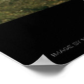 Fort Worth - Dallas, Texas From Space ポスター (角)