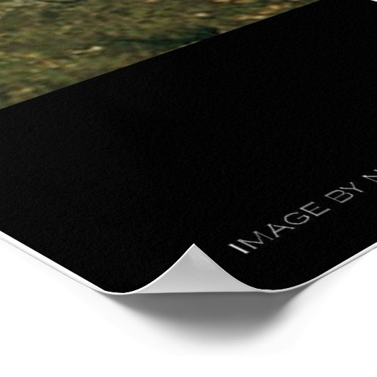 Fort Worth - Dallas, Texas From Space ポスター (角)