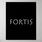 Fortis ポスター (正面)