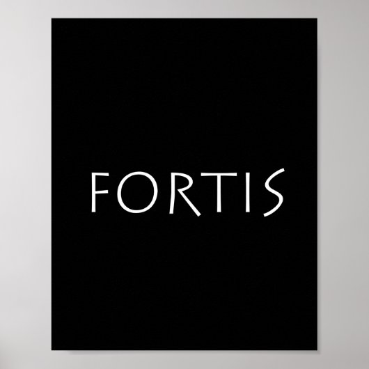 Fortis ポスター (正面)