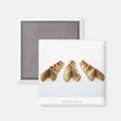 Fortune Cookie（3行） マグネット (正面/裏面)