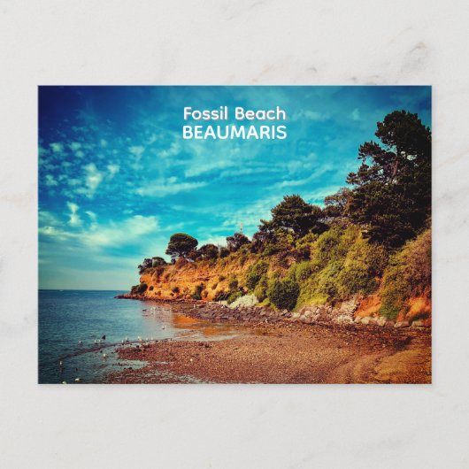 Fossil Beach, Beaumaris ポストカード (正面)