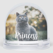 Foster Love Paw Print Pet Snow Globe (裏面)
