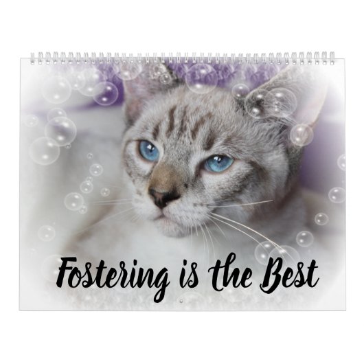 FOSTERING KITTENS IS THE BEST カレンダー (カバー)