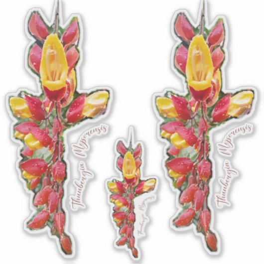 Fotografia de flor シール (正面)