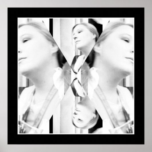 Fotografie写真schwarzweibs-Foto Fotokunst ポスター (正面)