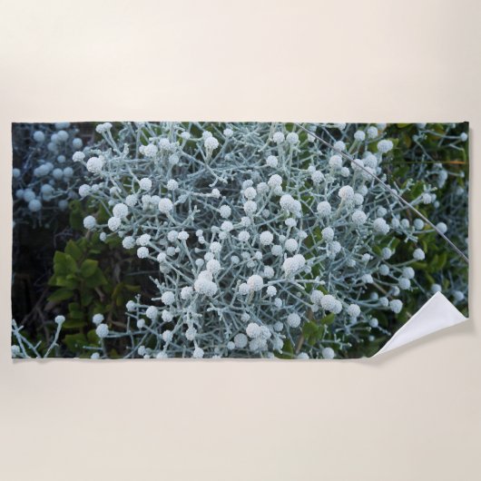 fotografiqqq uniqe beach towel ビーチタオル (正面)